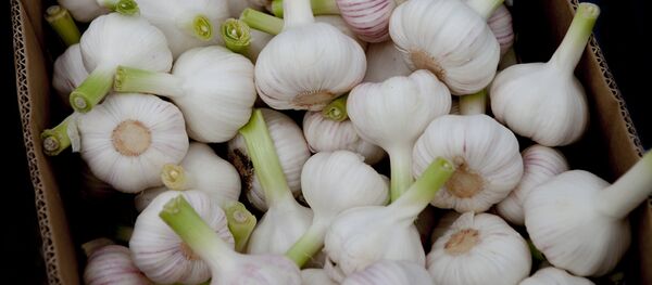 Рынок выходного дня Рынок выходного дня - Sputnik Южная Осетия