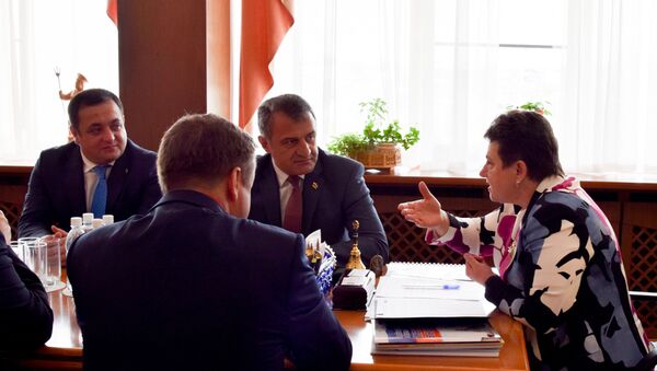 Президент Анатолий Бибилов встретился с губернатором владимирской области Светланой Орловой - Sputnik Южная Осетия