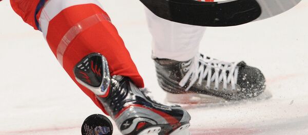 Хоккей. Чемпионат мира. Матч Чехия - Дания - Sputnik Южная Осетия