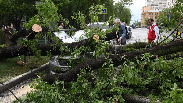 Последствия урагана в Москве - Sputnik Южная Осетия