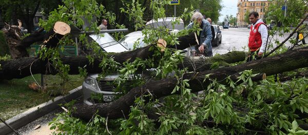 Последствия урагана в Москве Последствия урагана в Москве - Sputnik Южная Осетия