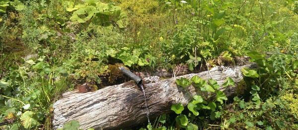 Загадочная природа Южной Осетии.Родник Загойа   - Sputnik Южная Осетия