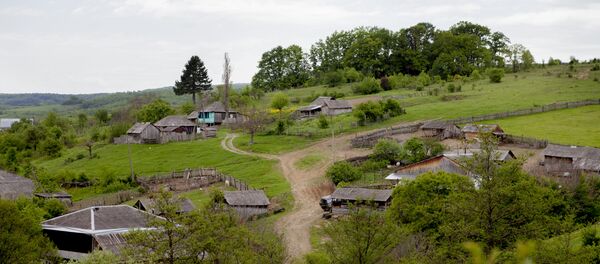 Лиса - Sputnik Хуссар Ирыстон