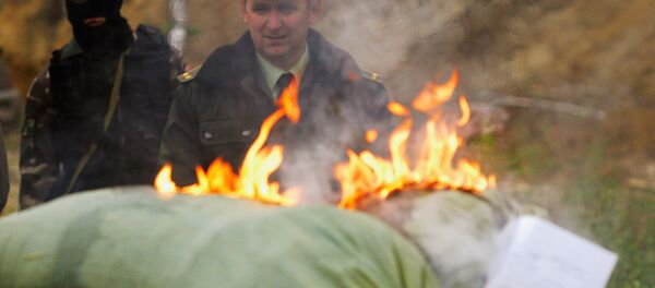 Изъятие наркотиков - Sputnik Южная Осетия