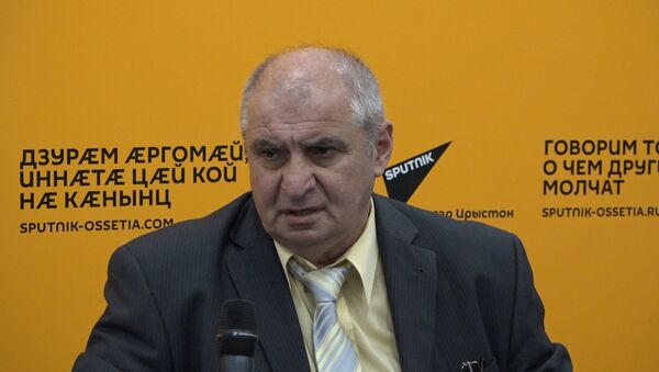 Глава Минэкономики Южной Осетии о приоритетах развития отрасли. - Sputnik Южная Осетия