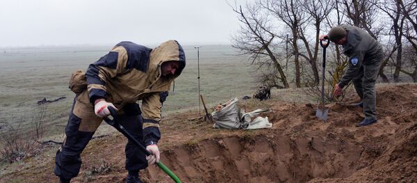 Ирыстойнаг сырхæфсæддоны мард буары хæйттæ баныгæндзысты райгуырæн зæххыл - Sputnik Хуссар Ирыстон