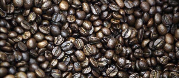 Производство кофе в Московской области - Sputnik Южная Осетия