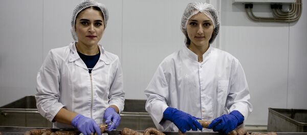 Завод Растдон в Цхинвале  - Sputnik Южная Осетия