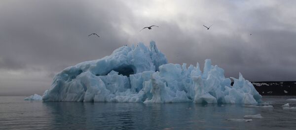 Экспедиция Национального парка Русская Арктика - Sputnik Южная Осетия