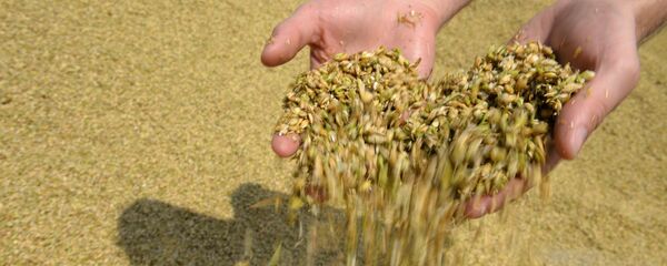 Мӕнӕуы тауинӕгтӕ Мӕнӕуы тауинӕгтӕ - Sputnik Хуссар Ирыстон