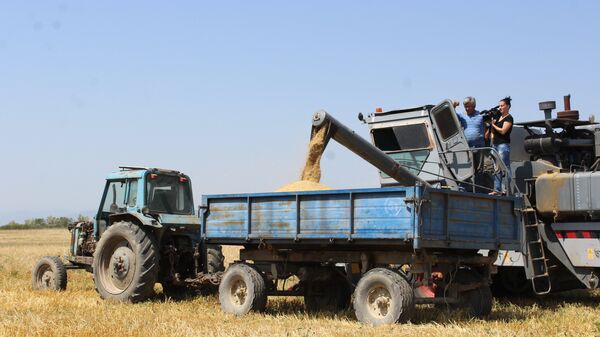 Сбор урожая зерновых в Южной Осетии - Sputnik Южная Осетия