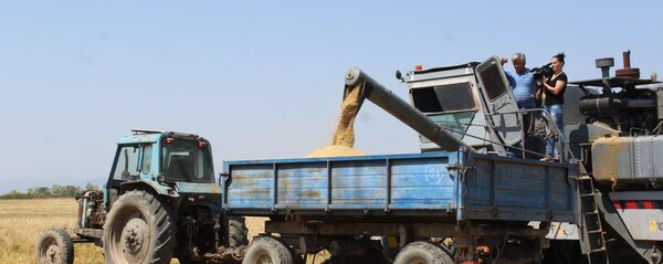 Бибылты Анатолий раарфӕ кодта хъӕууон хӕдзарады кусджытӕн Бибылты Анатолий раарфӕ кодта хъӕууон хӕдзарады кусджытӕн - Sputnik Хуссар Ирыстон