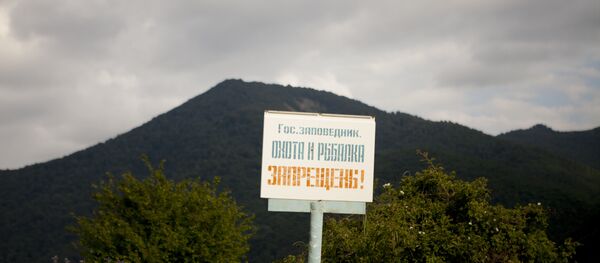 Зонкар  Зонкар  - Sputnik Южная Осетия