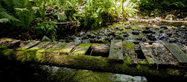 Нагутнийы «Ныфс» Нагутнийы «Ныфс» - Sputnik Хуссар Ирыстон