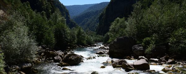 Рицинский заповедник в Абхазии - Sputnik Южная Осетия