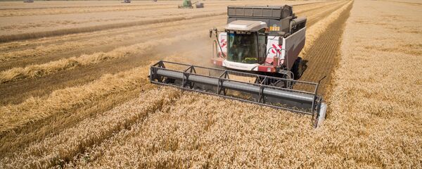 Уборка зерна - Sputnik Южная Осетия