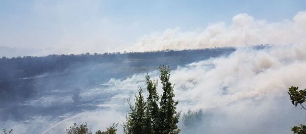 Пожар в Знаурском районе РЮО - Sputnik Южная Осетия