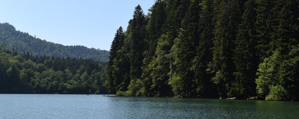 Гуфта-Эрцъо-Коз Гуфта-Эрцъо-Коз - Sputnik Южная Осетия