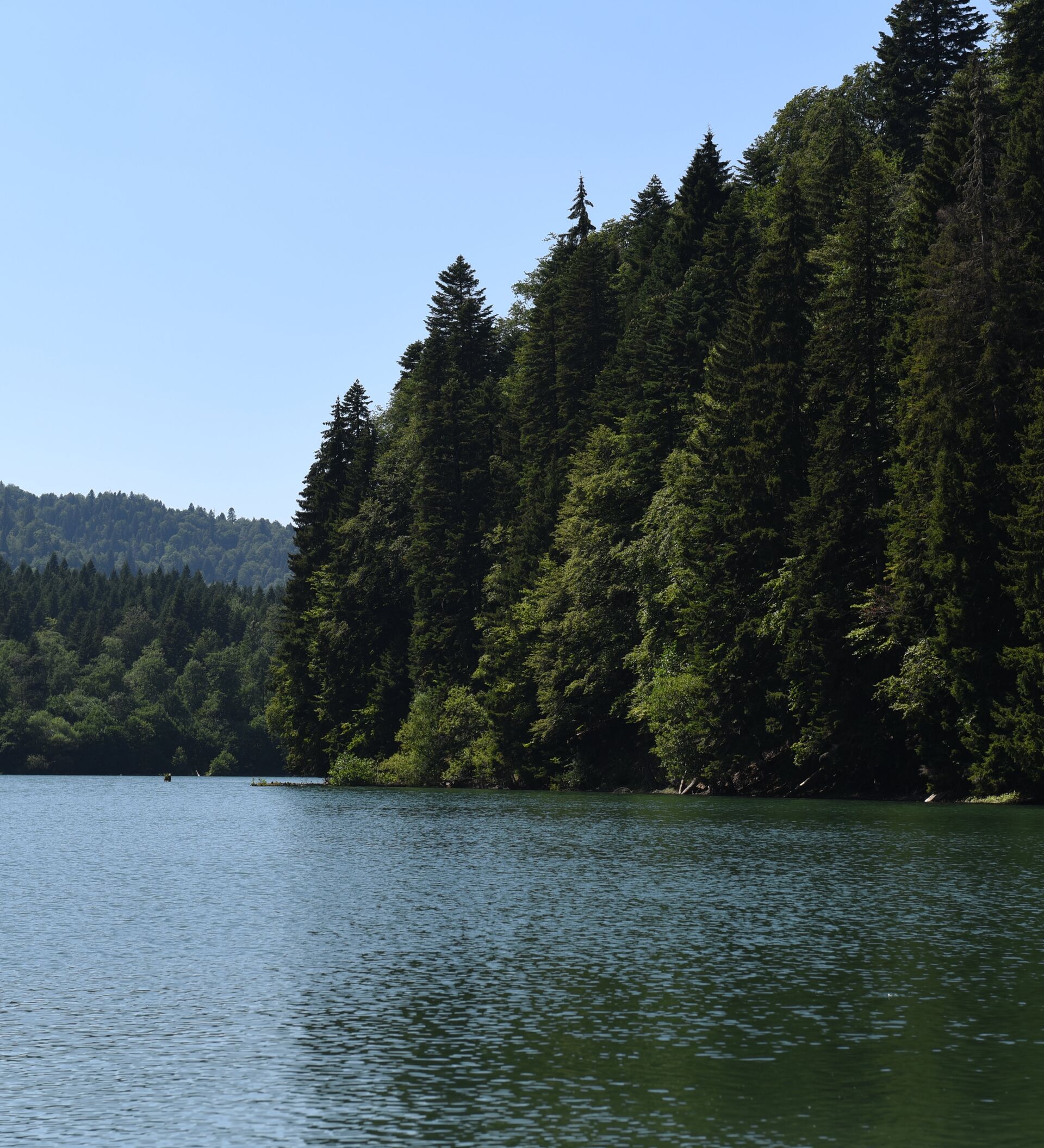 Леса осетии. Озеро Эрцо Южная Осетия. Озеро коз в Южной Осетии. Озеро Эрцо озеро-призрак. Озеро призрак в Южной Осетии.