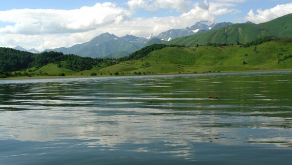 Полет стрекозы на озером Эрцо - Sputnik Южная Осетия