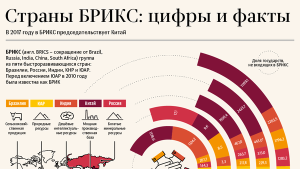 БРИКС в цифрах и фактах - Sputnik Южная Осетия