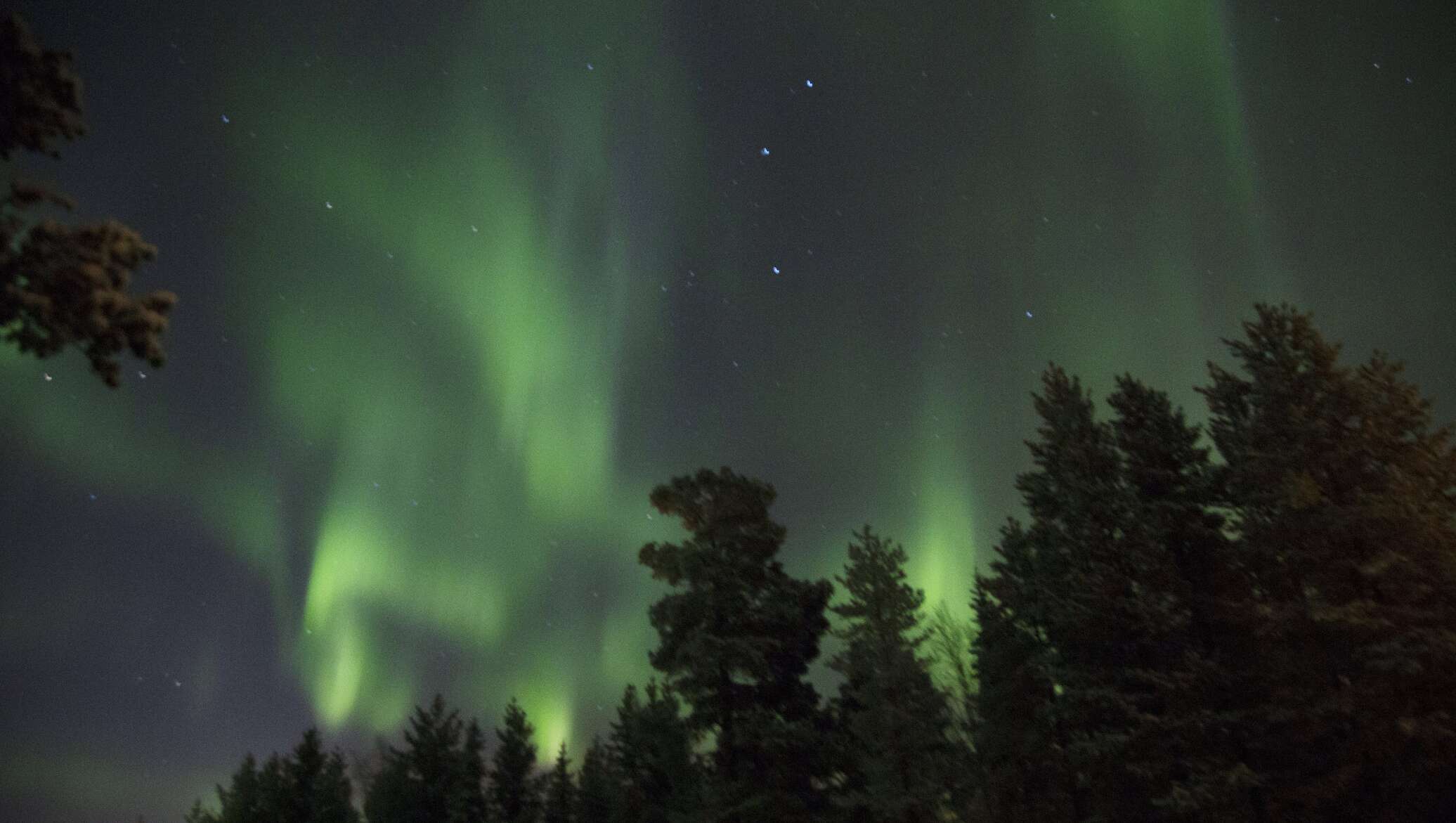 Покажи северное