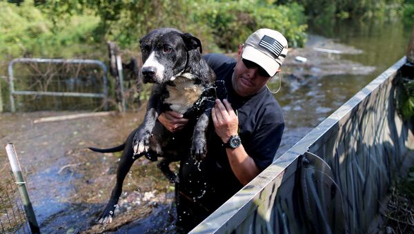man and the rescued dog - Sputnik Южная Осетия
