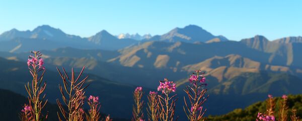 Цхинвалы срæвдз кодтой цайы рауагъдад Цхинвалы срæвдз кодтой цайы рауагъдад - Sputnik Хуссар Ирыстон