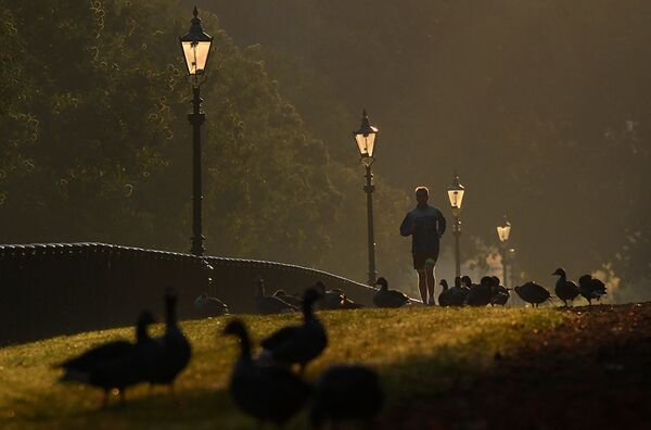 Ранним утром в Гайд-парке в Лондоне, Британия. - Sputnik Южная Осетия