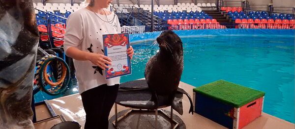 В Петербурге полиция наградила морского котика, поймавшего нарушителя - Sputnik Южная Осетия