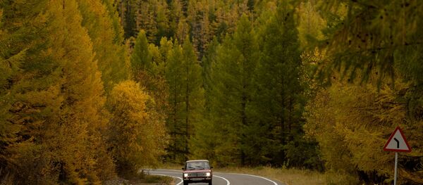 Осень в Сибири Осень в Сибири - Sputnik Южная Осетия