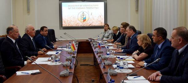 Уæрæсе æмæ Хуссар Ир æруынаффæ кодтой æмгуыстадыл хъæууон хæдзарады къабазы Уæрæсе æмæ Хуссар Ир æруынаффæ кодтой æмгуыстадыл хъæууон хæдзарады къабазы - Sputnik Хуссар Ирыстон