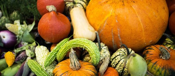 19-я Российская агропромышленная выставка Золотая осень-2017 19-я Российская агропромышленная выставка Золотая осень-2017 - Sputnik Южная Осетия