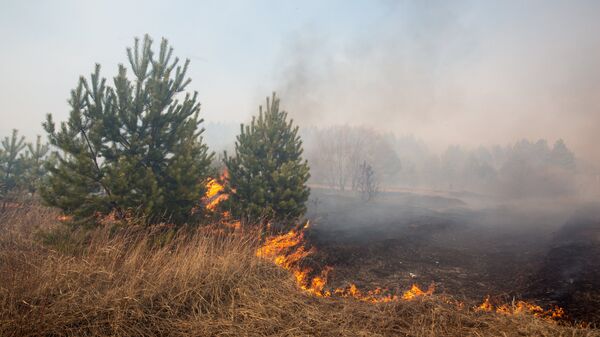 Возгорание сухой травы - Sputnik Южная Осетия