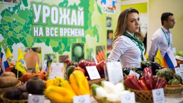 19-я Российская агропромышленная выставка Золотая осень-2017 - Sputnik Южная Осетия