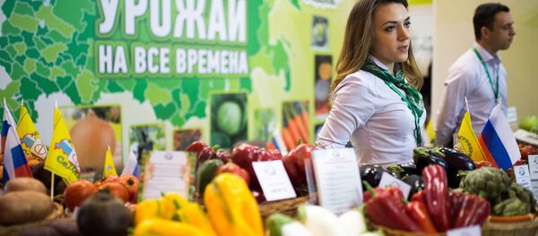 19-я Российская агропромышленная выставка Золотая осень-2017 19-я Российская агропромышленная выставка Золотая осень-2017 - Sputnik Южная Осетия