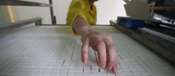 Работа сахарного завода Работа сахарного завода - Sputnik Южная Осетия