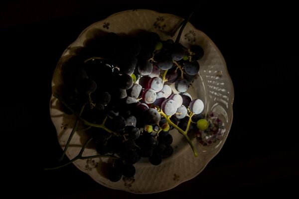 Сбор винограда - Sputnik Южная Осетия
