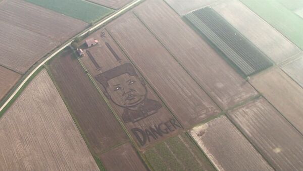 На соевом поле в Италии появился двухсотметровый портрет Ким Чен Ына - Sputnik Южная Осетия