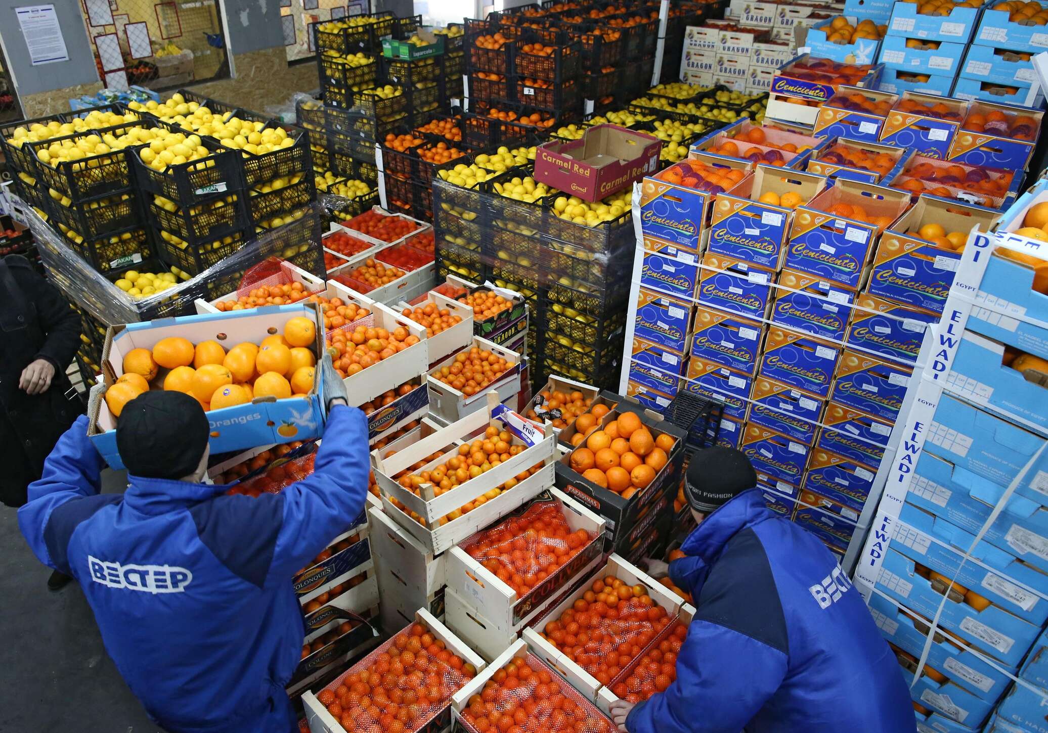 Food import. Склад овощей. Овощная база. Продуктовый склад. Склад фруктов.