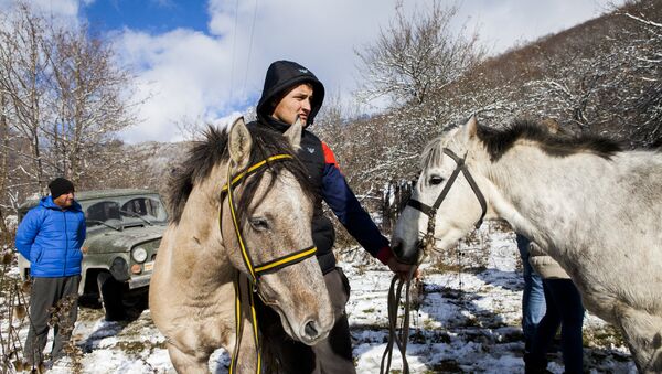 Скачки в Джерском ущелье - Sputnik Южная Осетия