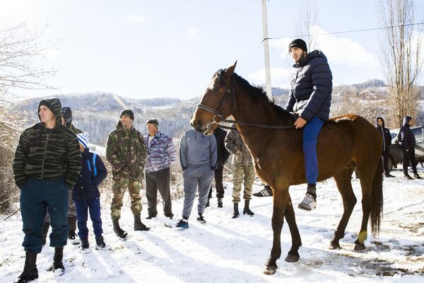 Скачки в Джерском ущелье - Sputnik Южная Осетия