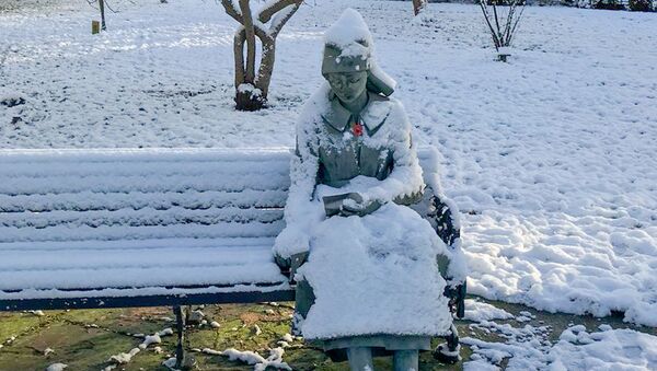 Британка вызвала скорую статуе, приняв ее за замерзшую девушку - Sputnik Южная Осетия