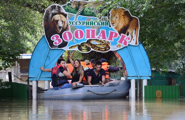 Уссурийский зоопарк после наводнения - Sputnik Южная Осетия