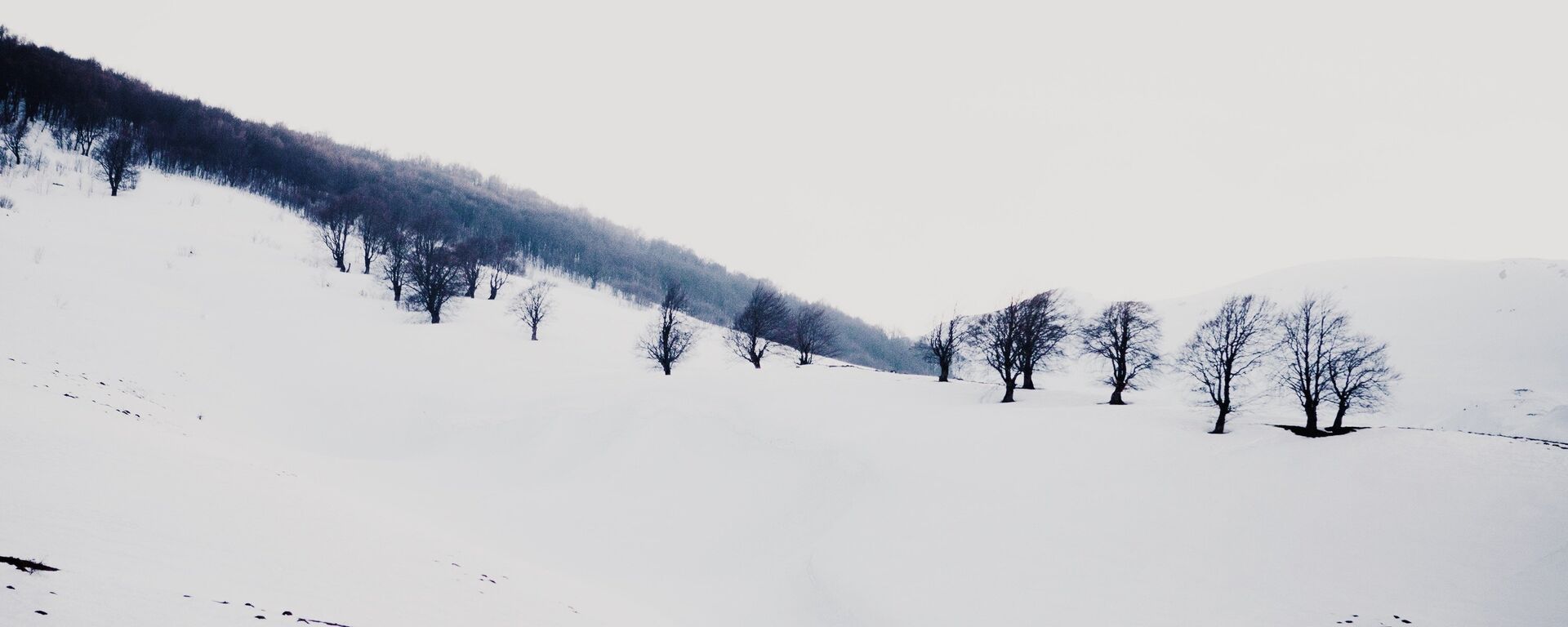Зима в горах Осетии - Sputnik Южная Осетия, 1920, 22.01.2024