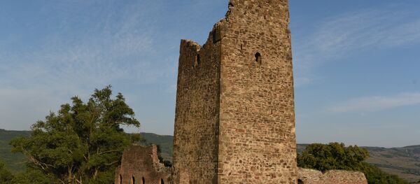 Дворцовый комплекс 15-16 века в селе Дзагина Знаурского района - Sputnik Южная Осетия