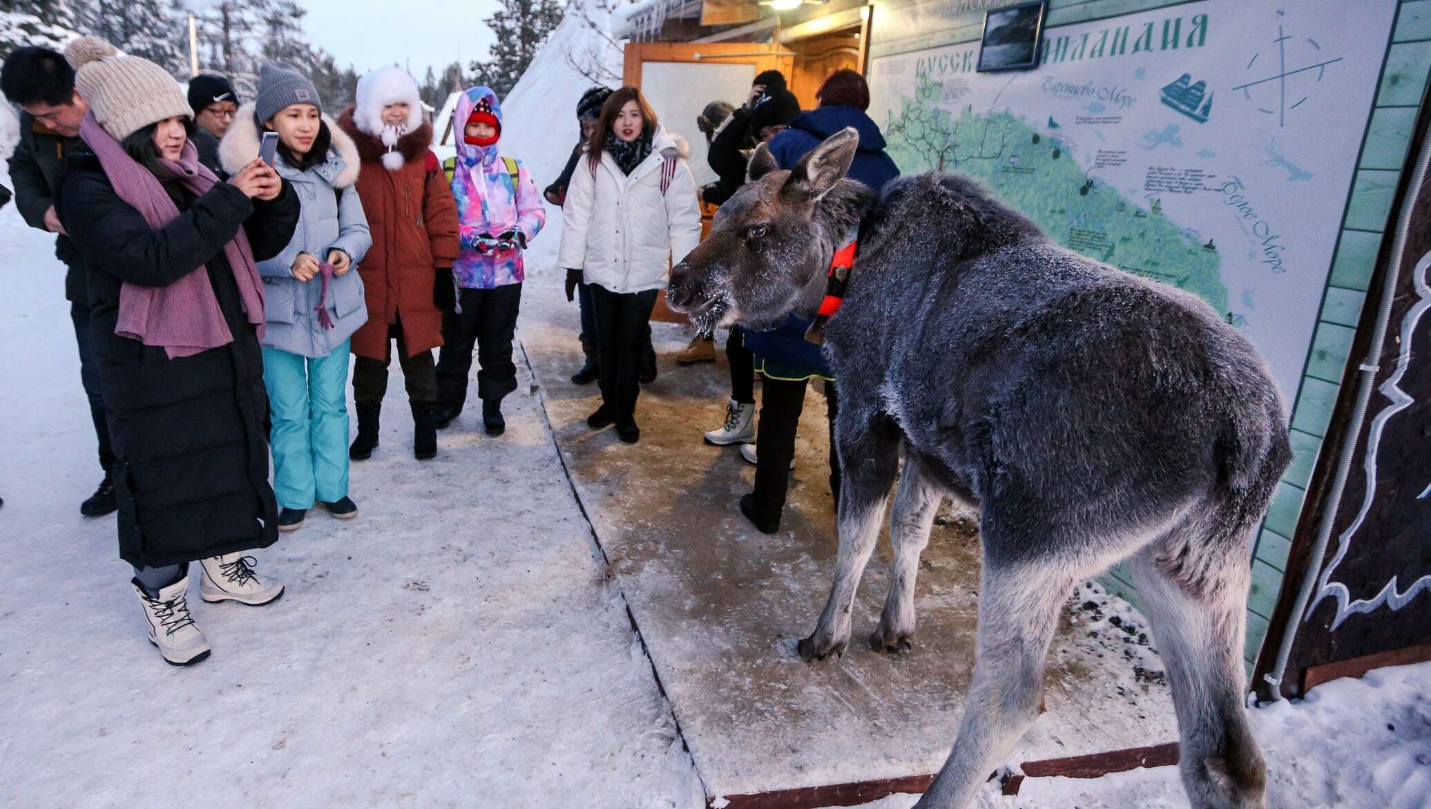 Саамская деревня Мурманск