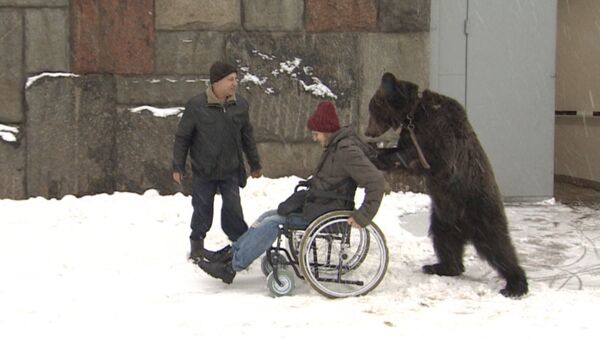 Цирковой медведь Яша помог забрать из больницы дрессировщика - Sputnik Южная Осетия