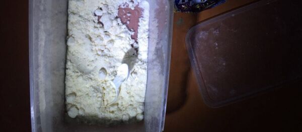 Изъятый наркотик Изъятый наркотик - Sputnik Южная Осетия