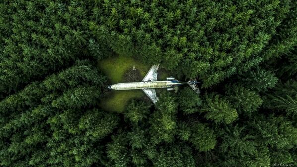 Снимок Plane in the Forest фотографа Mark Calayag, ставший одним из победителей в номинации Popular Prize - Sputnik Южная Осетия